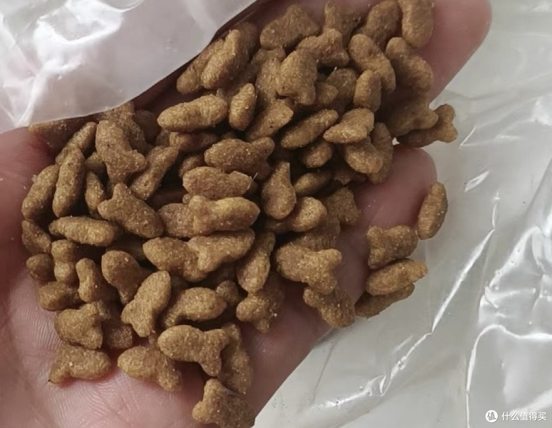 营养均衡适合各年龄段猫咪