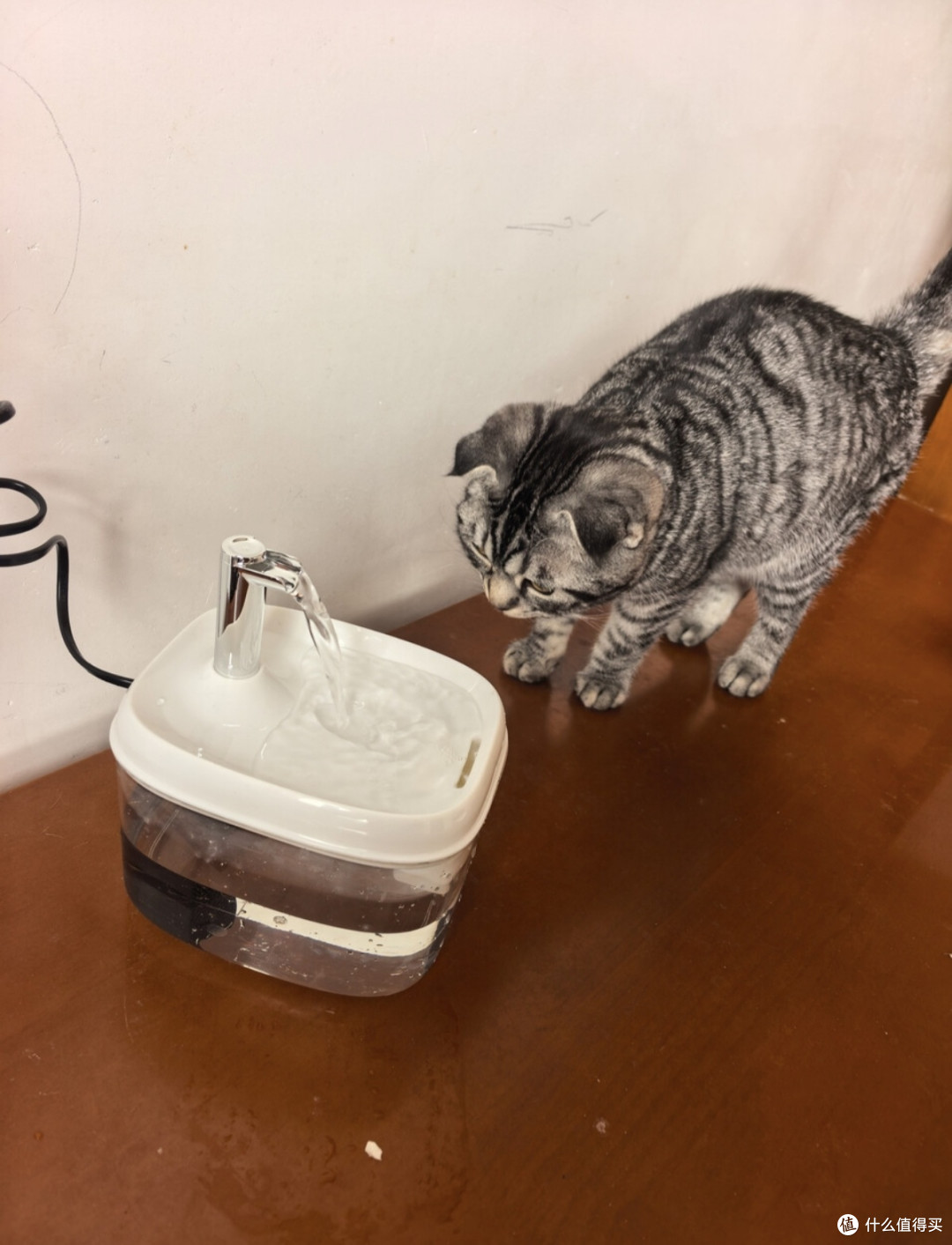 甜浪海猫咪饮水机,提升养猫幸福感的刚需好物