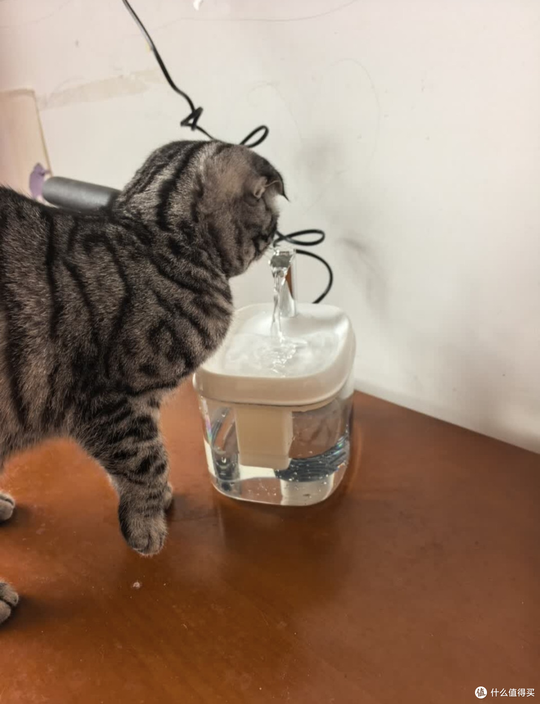 甜浪海猫咪饮水机,提升养猫幸福感的刚需好物