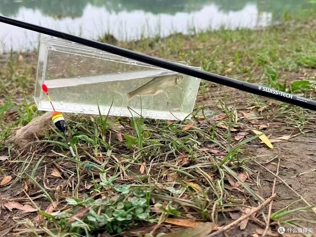 夏季亲水正当时,瑞士科技迷你小物竿让钓鱼变得像掏手机一样简单