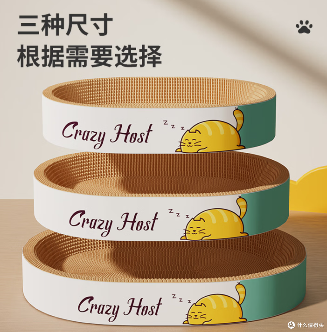 普通人真的要学，我家猫过日子比人通透太多