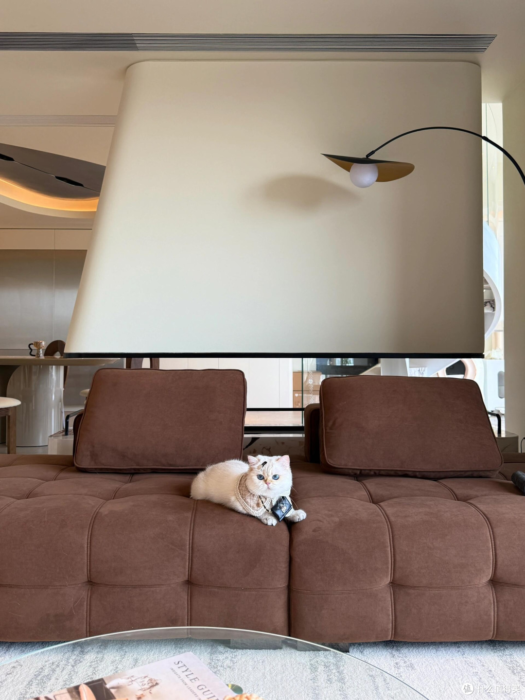 专属餐具守护猫咪健康