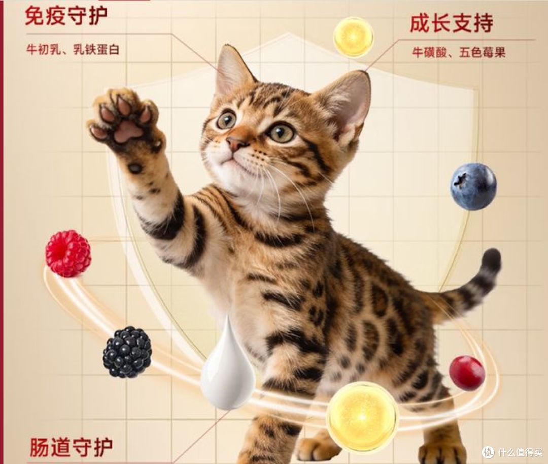 618两款猫粮横评：弗列加特vs素力高，肠胃养护款怎么选？