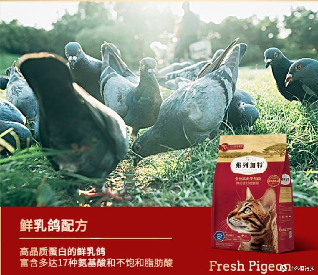 618两款猫粮横评：弗列加特vs素力高，肠胃养护款怎么选？