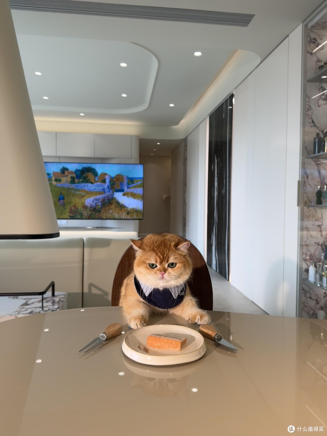 科学养护猫咪的日常实践