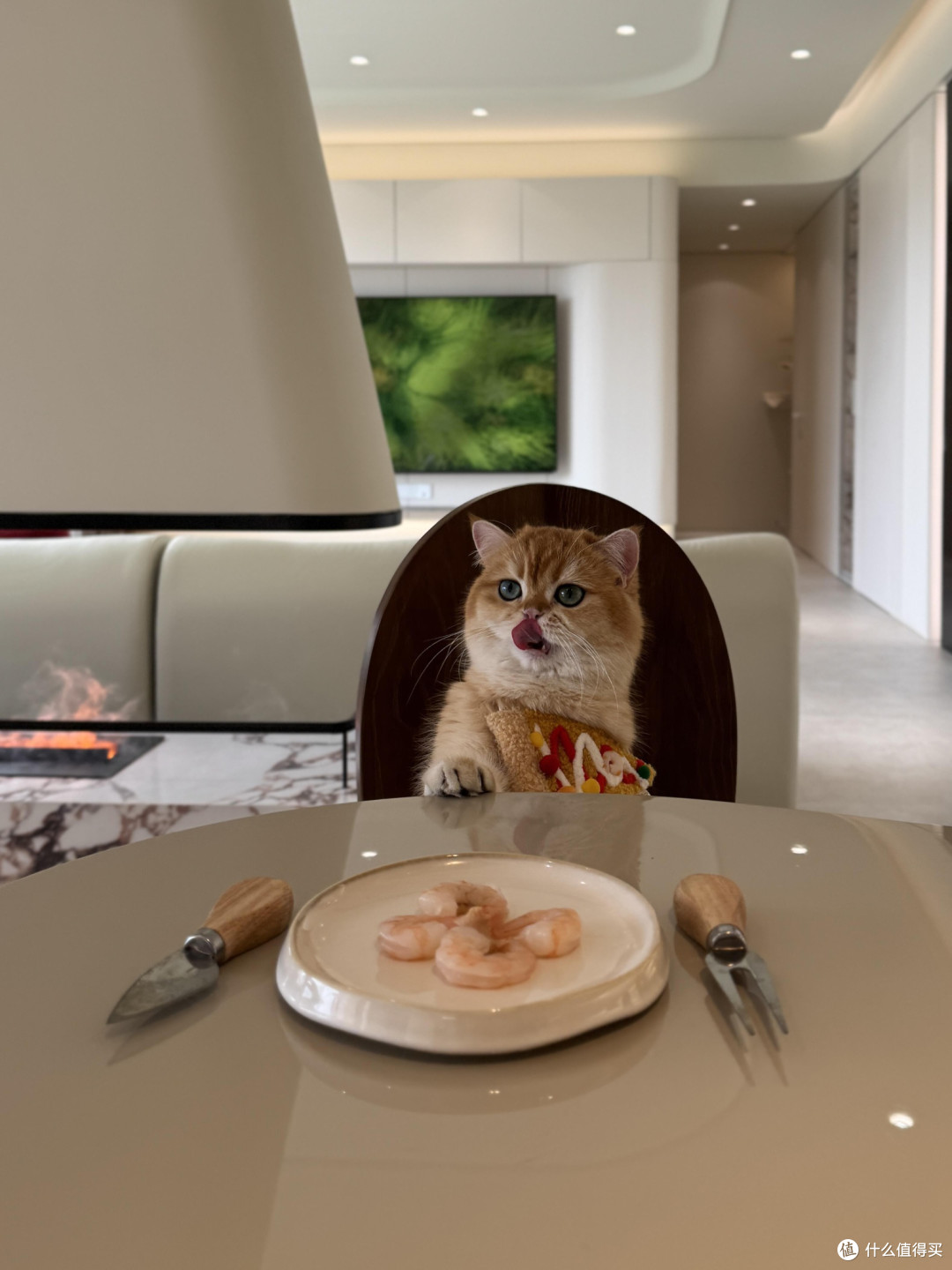 科学养护猫咪的日常实践