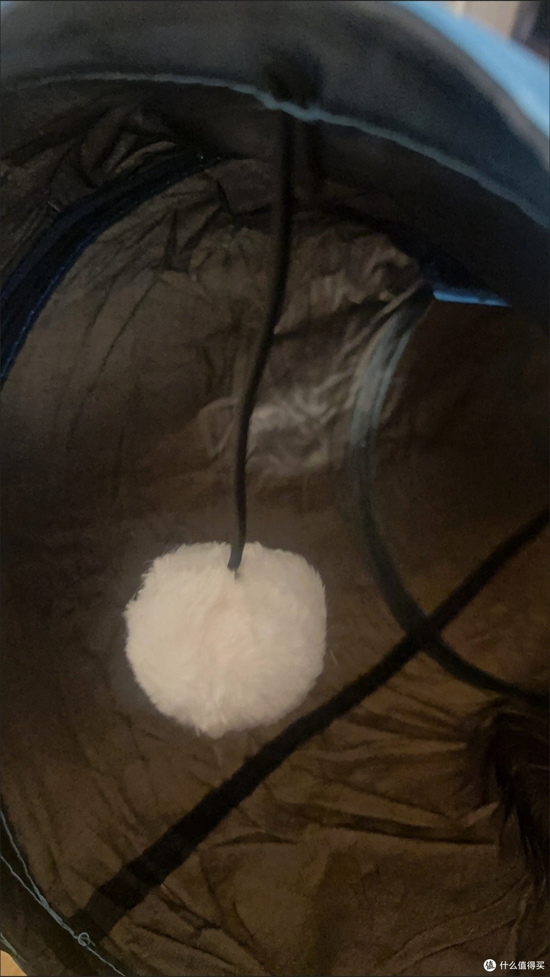 猫咪自嗨隧道,缓解独处焦虑