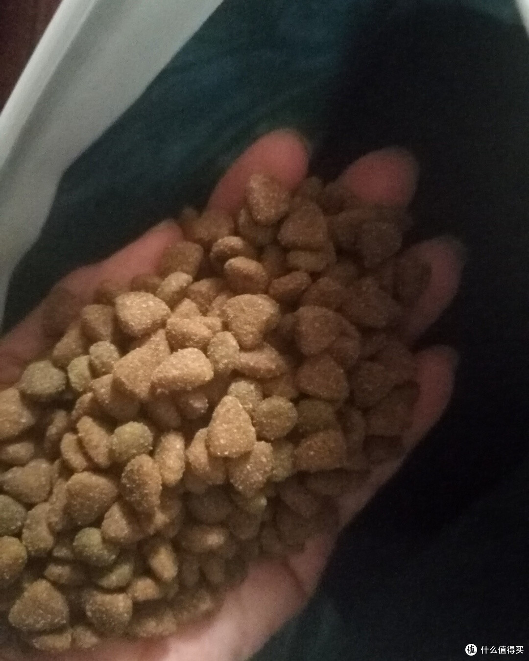 日常囤粮|我家猫咪无限复购的藻趣儿猫粮