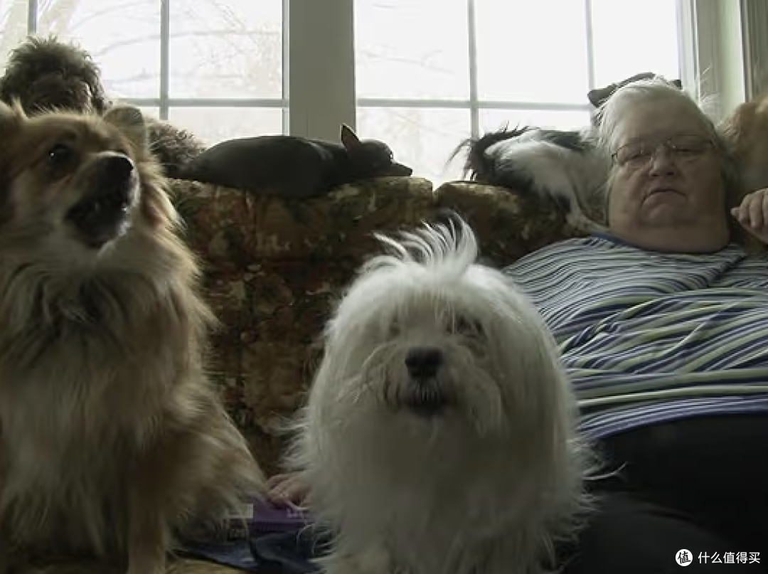 Confessions: Animal Hoarding 剧照