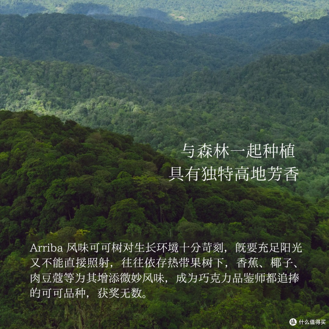 Soileta生可可粉150g｜天然未碱化无糖可可冲饮烘焙伴侣