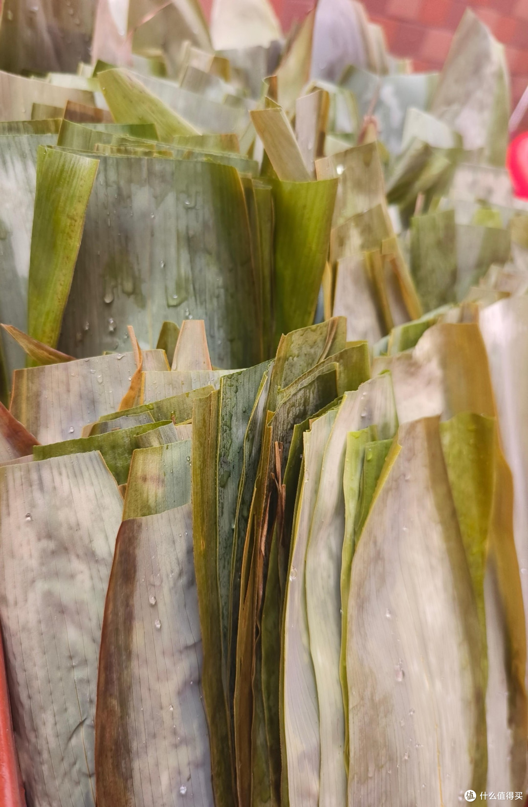 东莞道滘粽:咸甜交织的那一口,是水乡人端午的仪式感