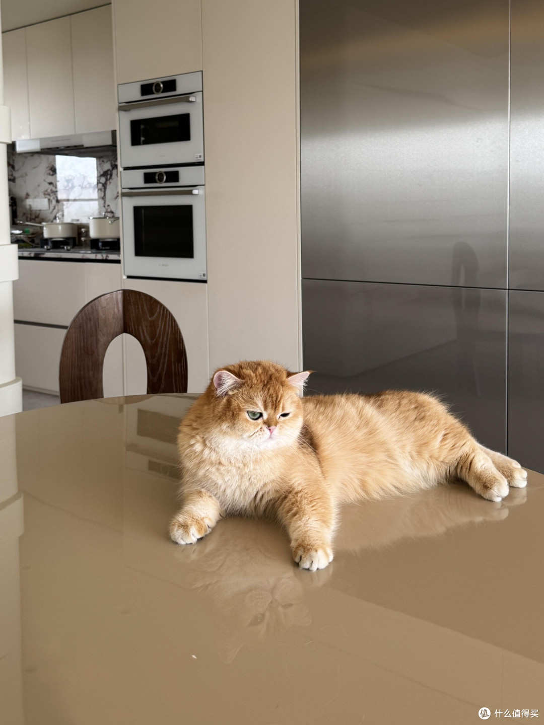 精细化养猫:专属餐具与定制玩具