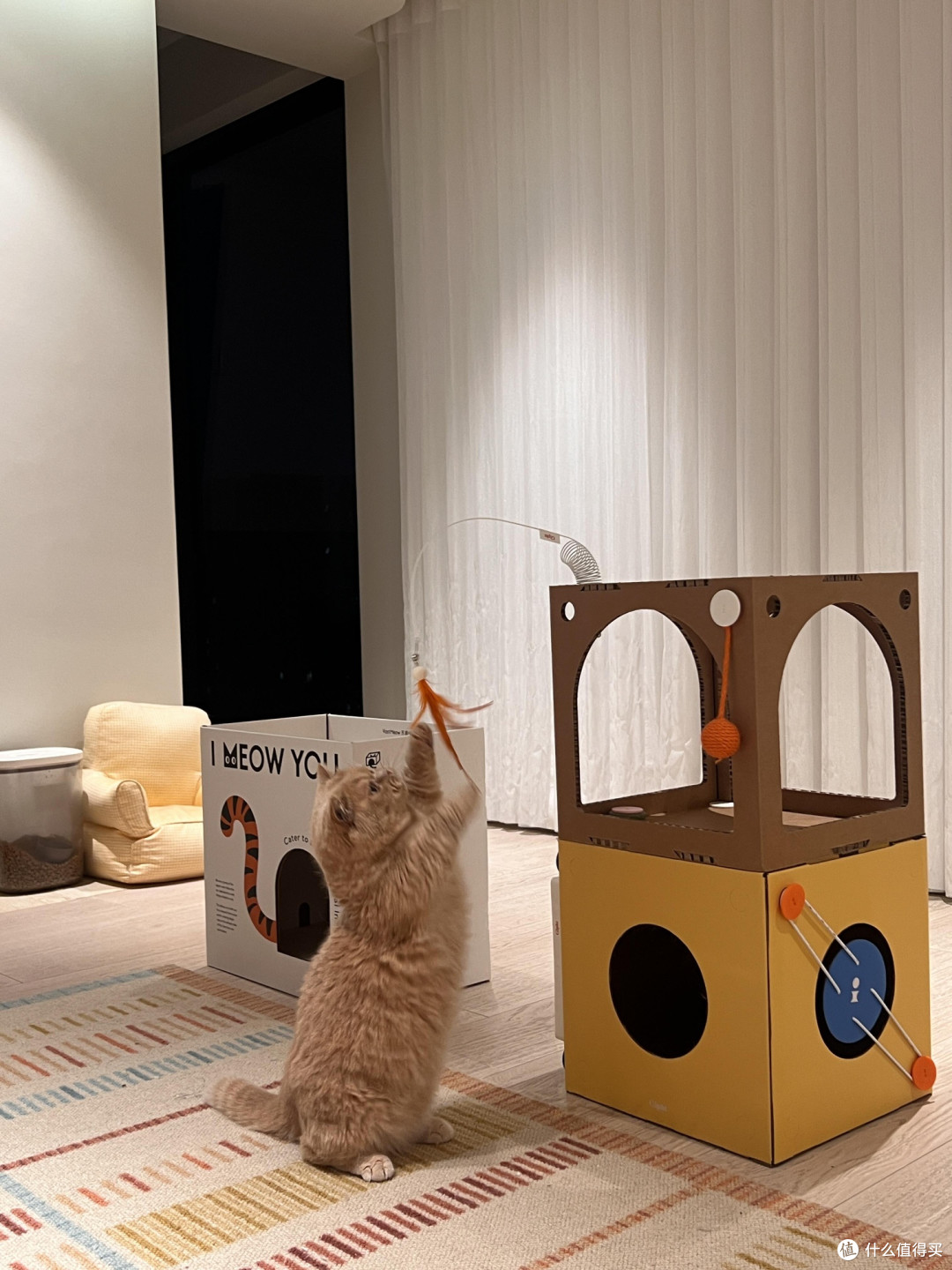 专属餐具守护猫咪健康