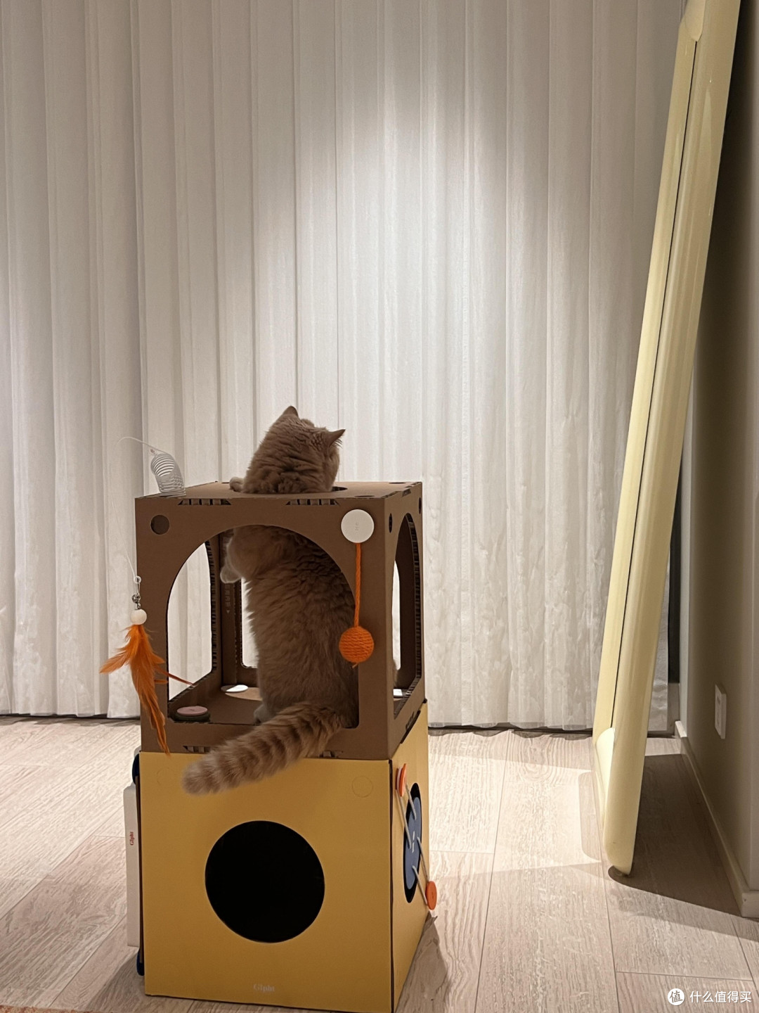 专属餐具守护猫咪健康