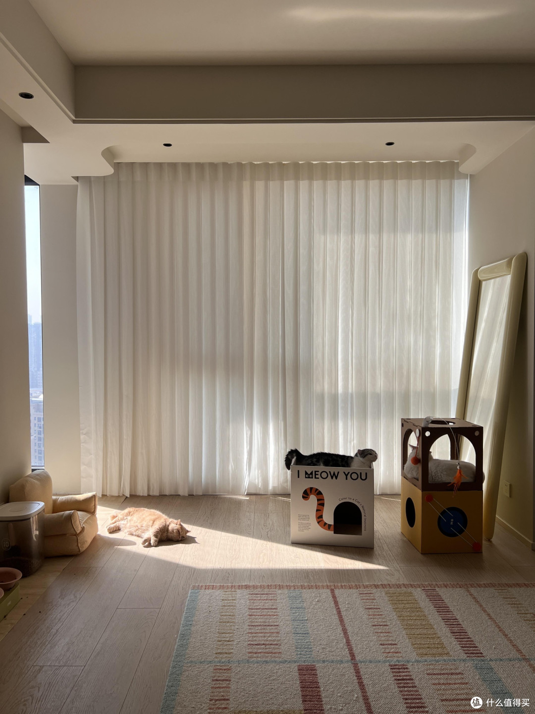 专属餐具守护猫咪健康