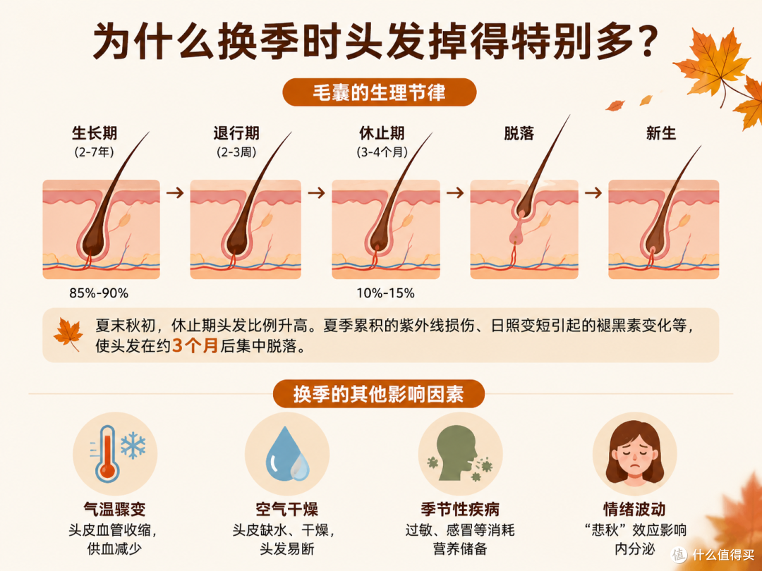 换季掉发严重怎么办?高仕星维生素b营养支持