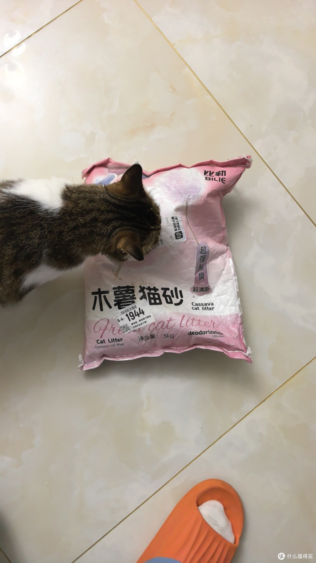 养猫必备:霍曼无线宠物饮水机体验