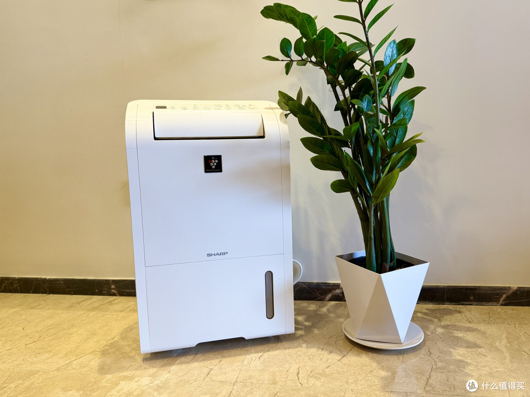 SHARP/夏普DW-D20HZ-W 20L/D 白色除湿机【报价价格评测怎么样】-什么值得买