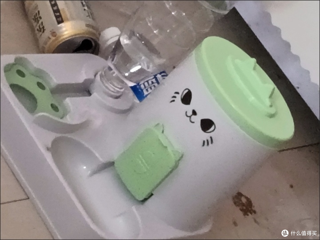 新手猫家长必备的实用物品