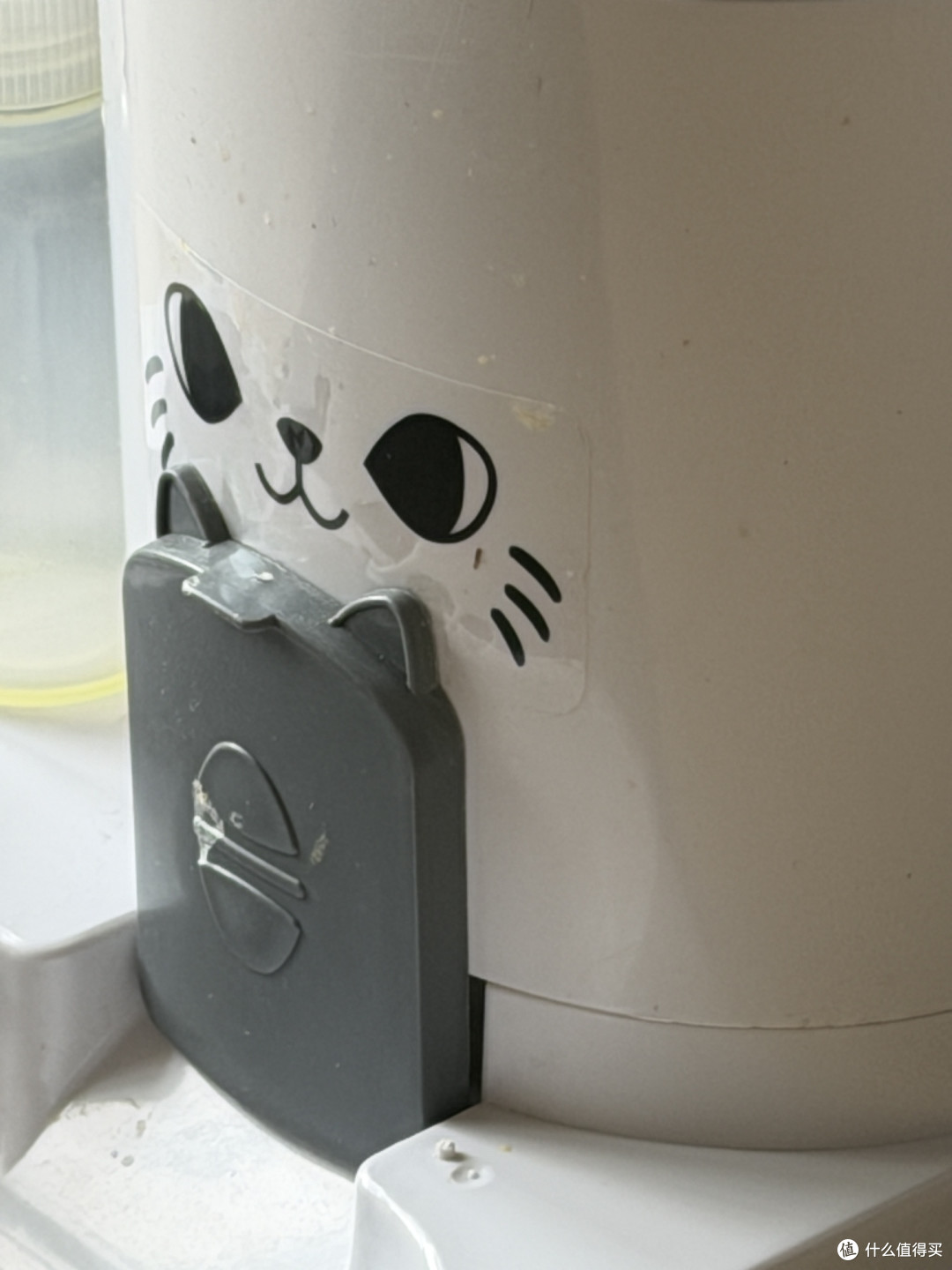 新手猫家长必备的实用物品