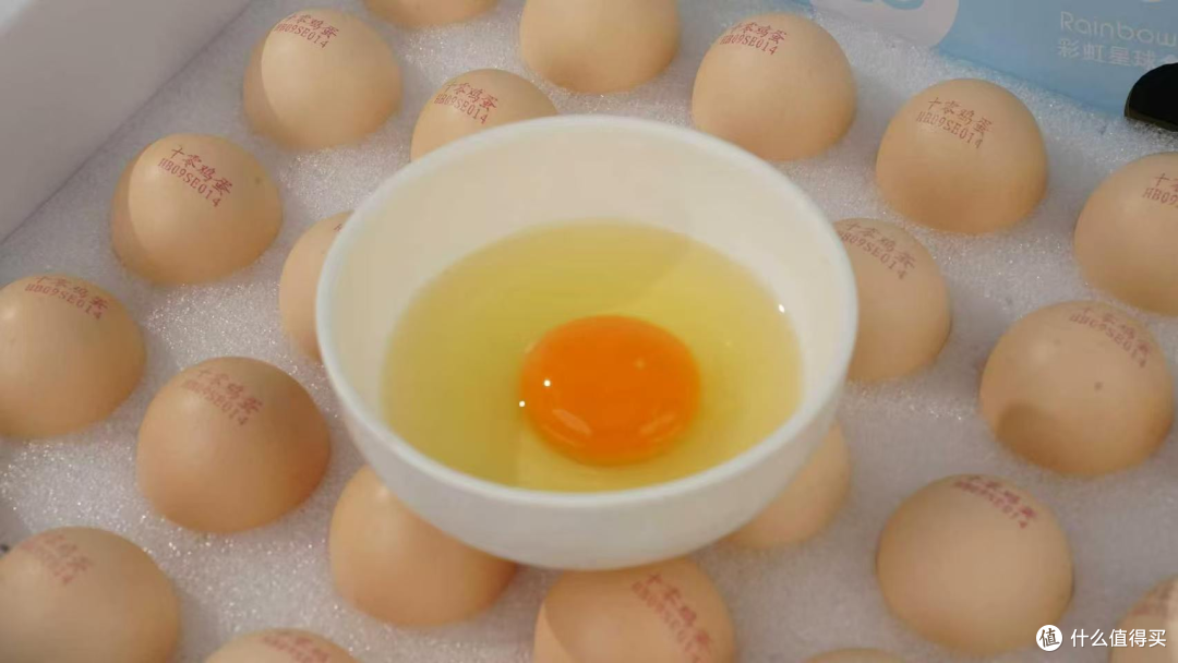 供港鸡蛋选购避坑：新手看这几点就能选到靠谱产品