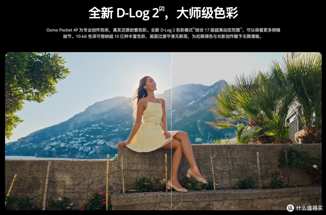 多了一颗镜头，贵了800块：Pocket 4 Pro让Pocket 4用户沉默了