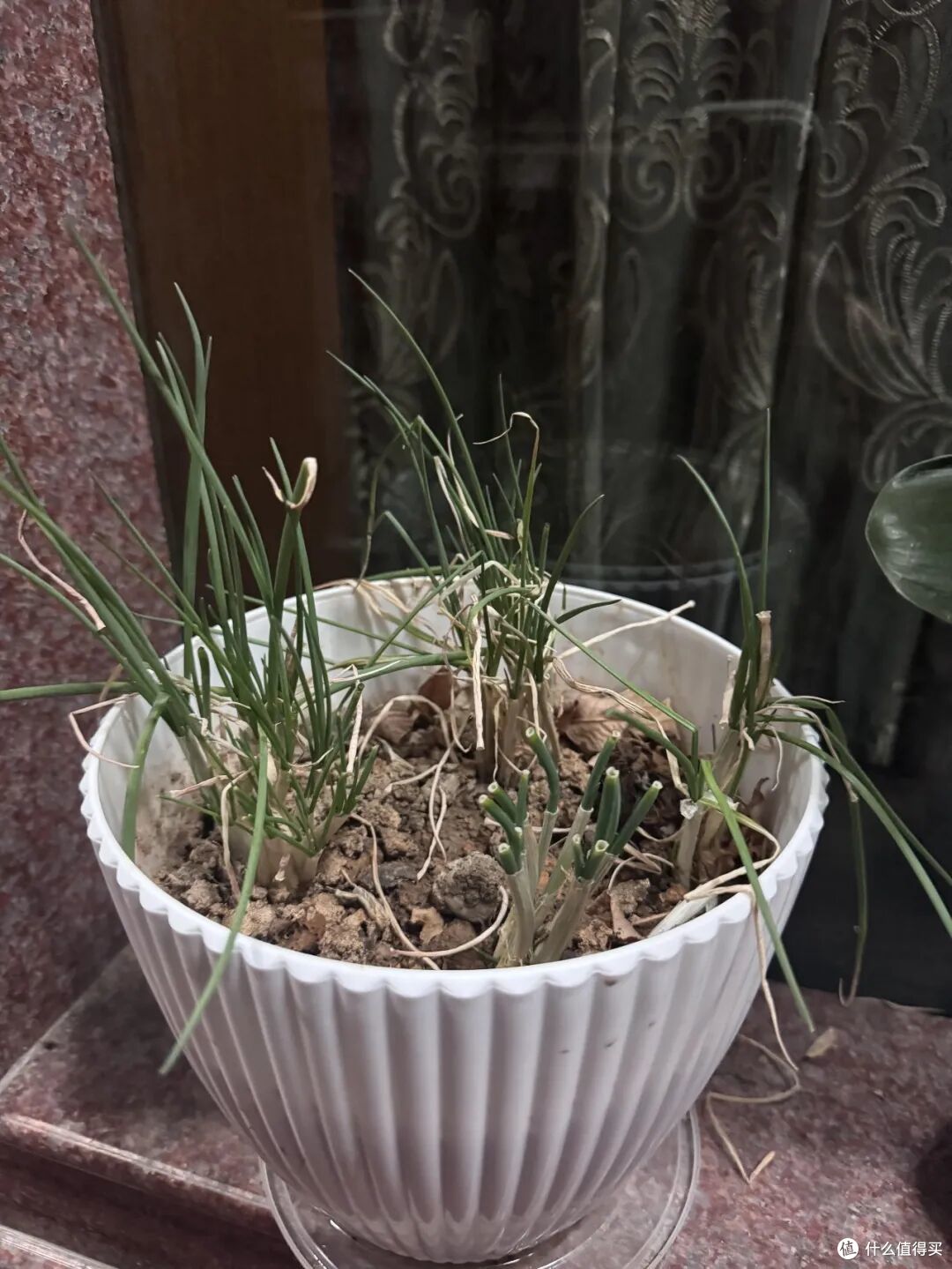 晒晒老妈的7个“生活智慧”，一分钱不花，就解决了生活痛点