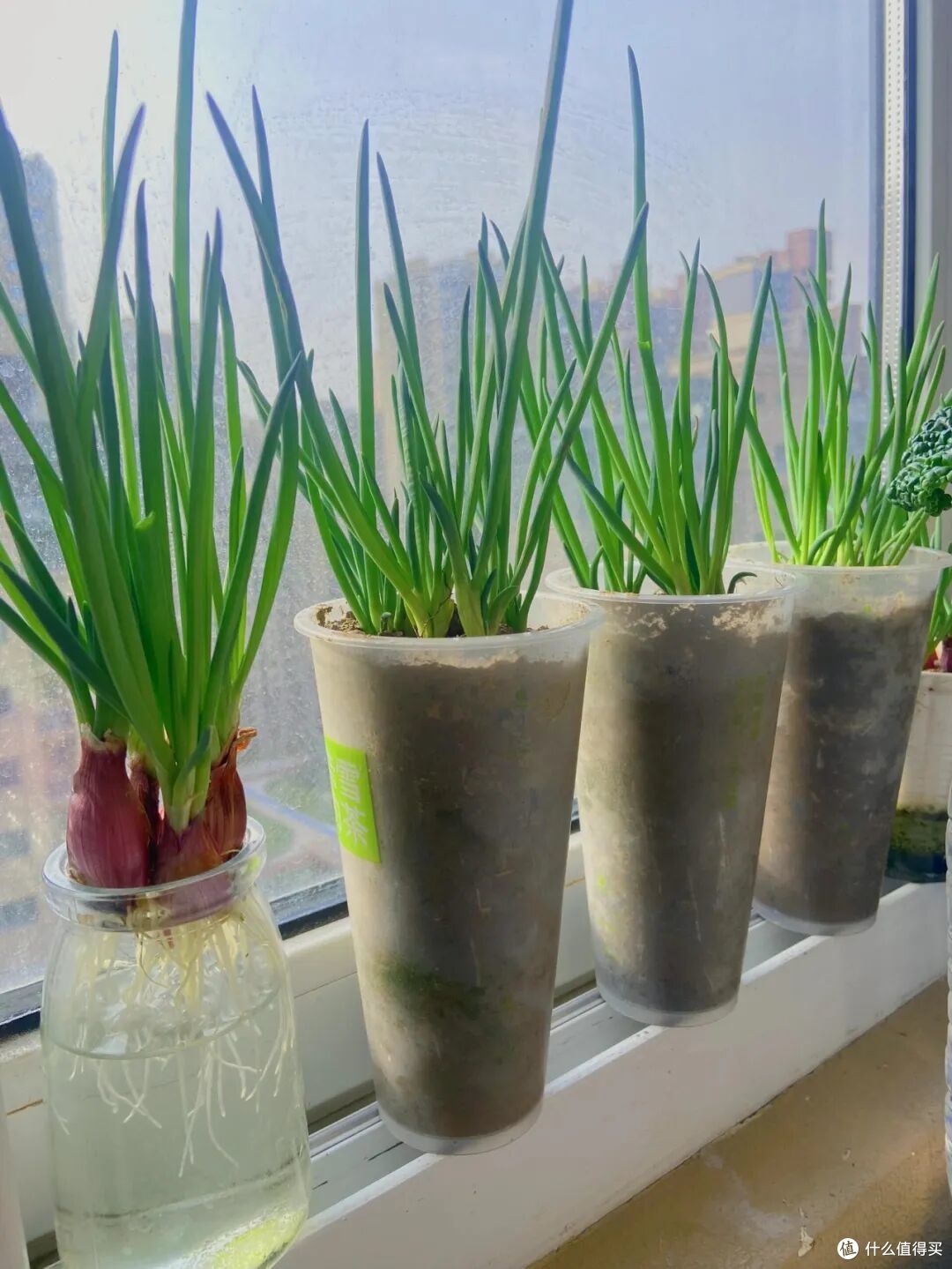晒晒老妈的7个“生活智慧”，一分钱不花，就解决了生活痛点