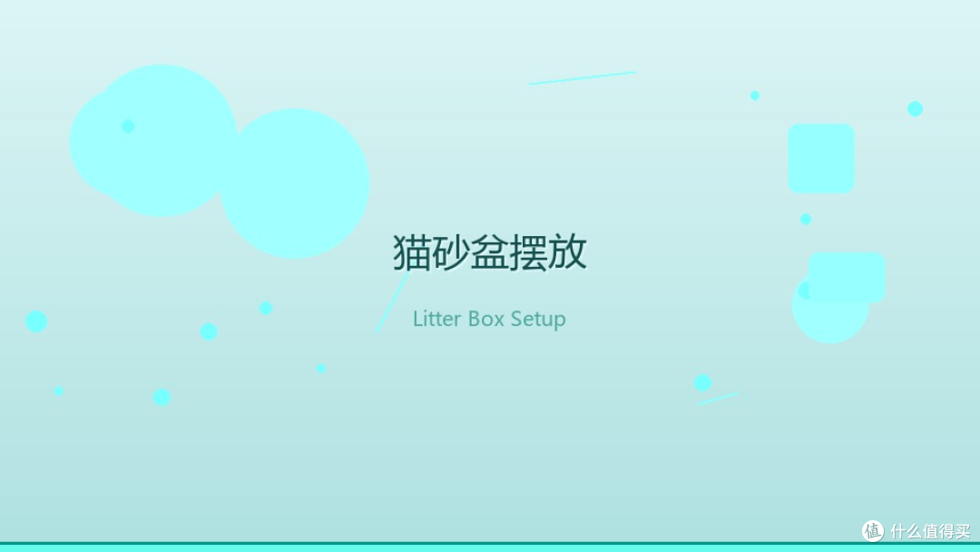 照着猫的需求清单买,铲屎官的钱才花在刀刃上