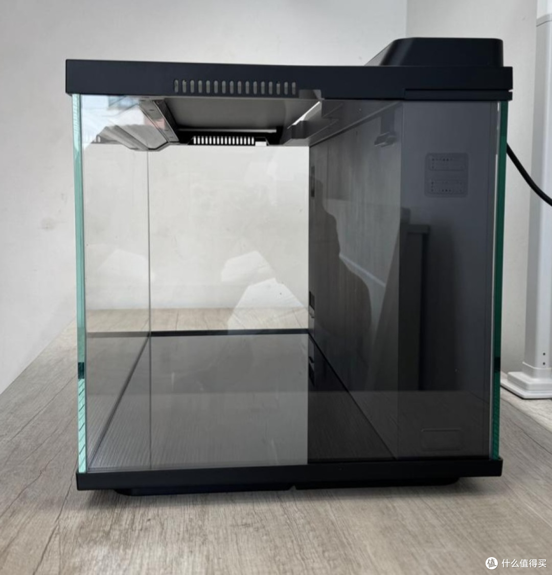 新手实测当贝2S Ultra智能鱼缸:新手懒人养鱼真的可以零翻车