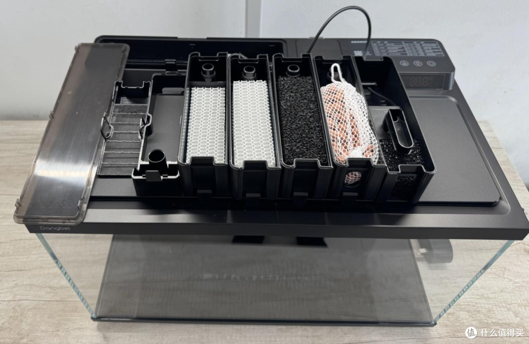 新手实测当贝2S Ultra智能鱼缸:新手懒人养鱼真的可以零翻车