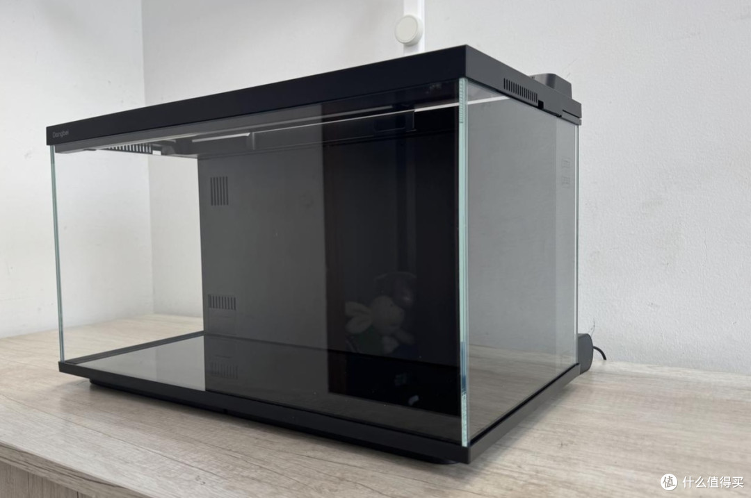 新手实测当贝2S Ultra智能鱼缸:新手懒人养鱼真的可以零翻车