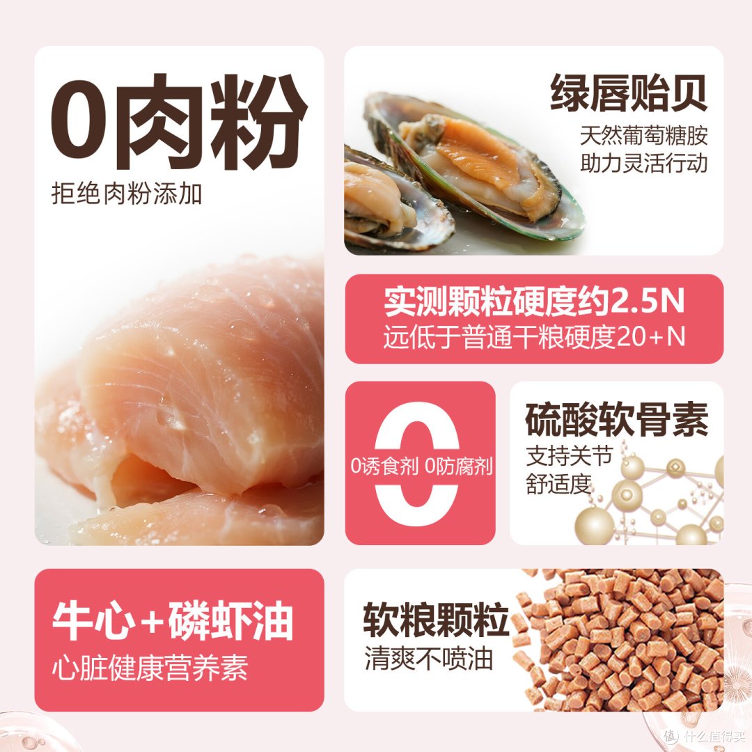 老泰迪牙口不好、吃啥吐啥?这包软饭让我家毛孩子终于肯好好吃饭