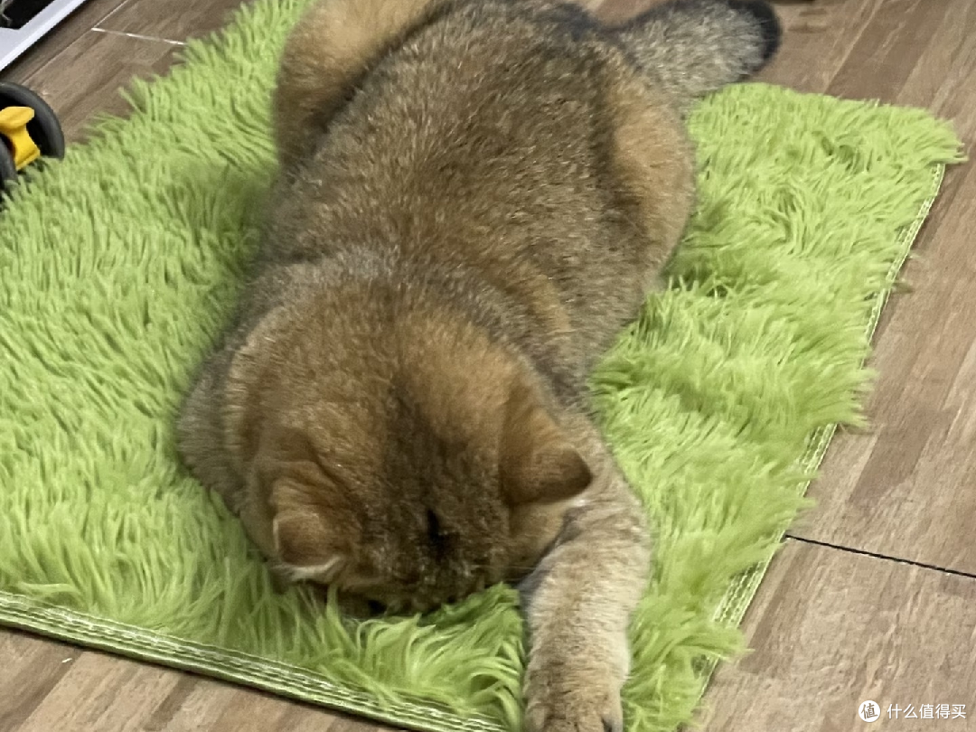 618猫粮换粮体验:两款烘焙夹心粮对比
