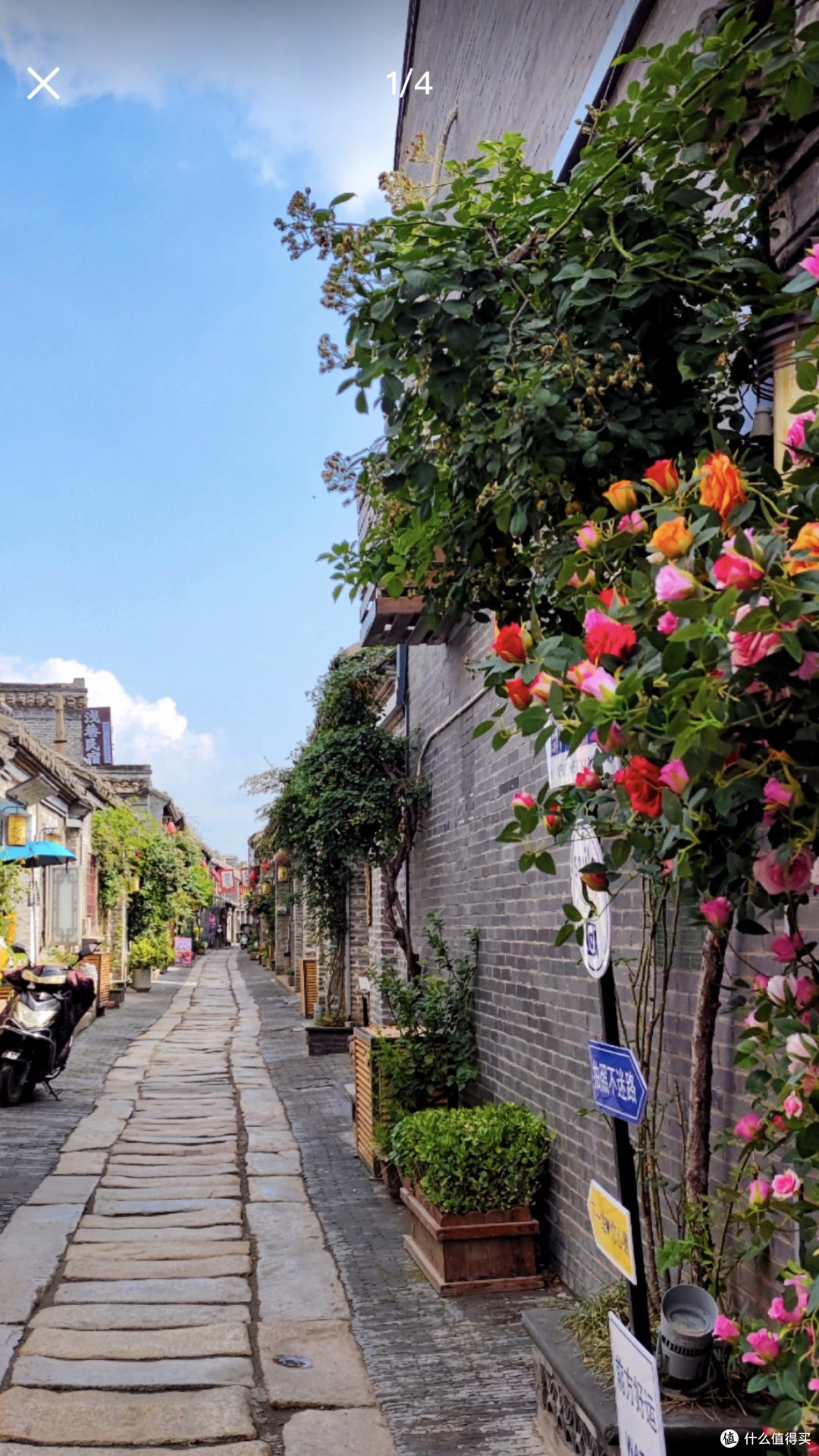 父子迪士尼之旅:陪伴的意义