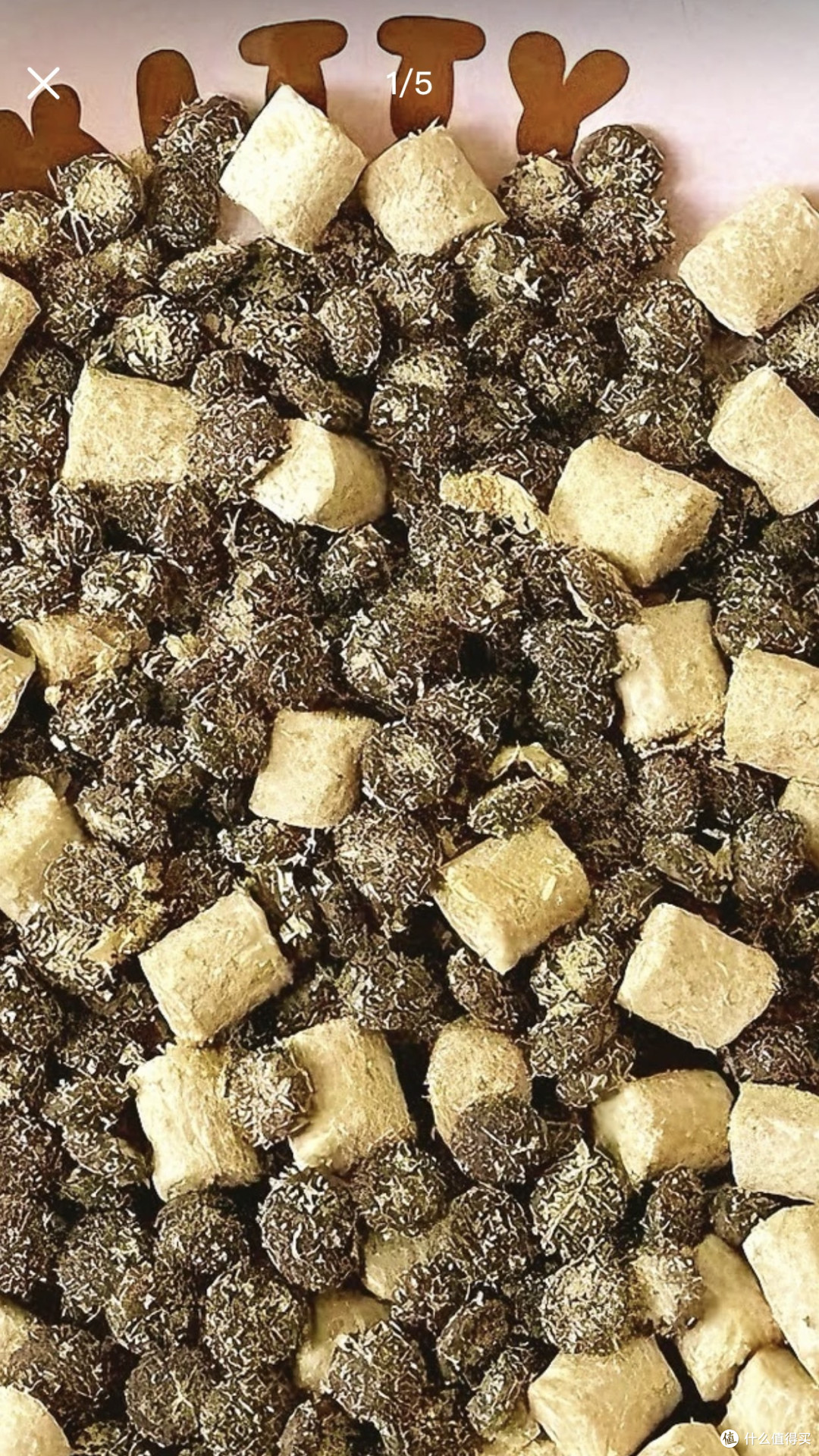 小年：懂得品味生活的猫咪