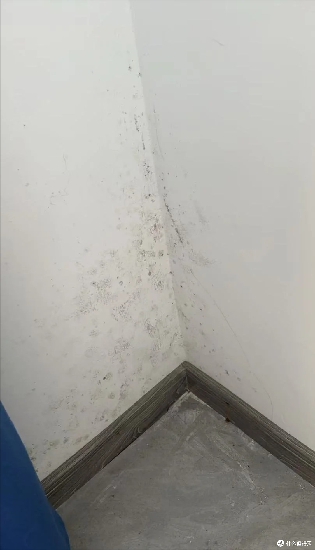 再次被网友的天才脑袋给惊艳到，不花啥钱，轻松搞定各种生活烦恼