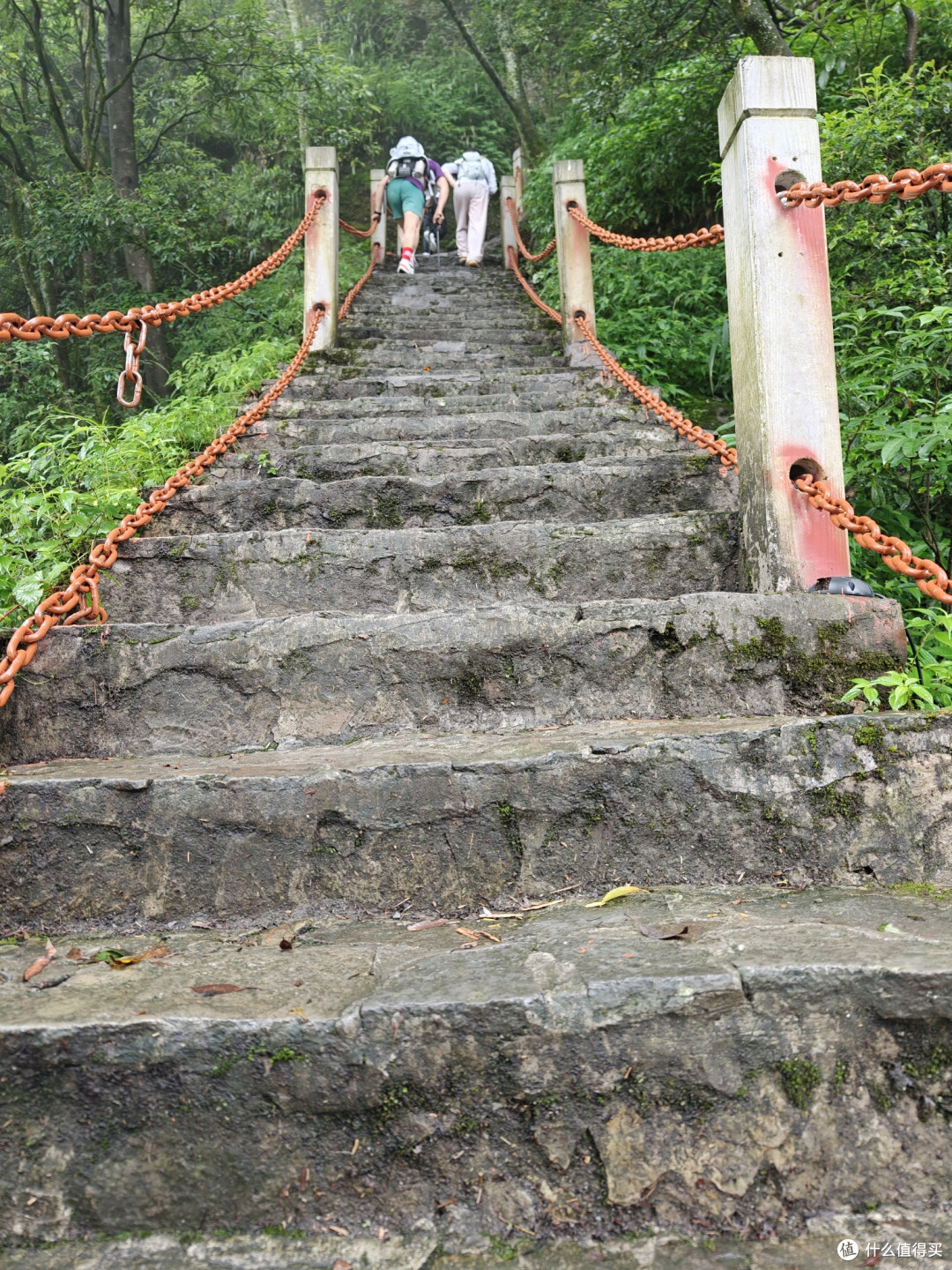 硬核实测-迈乐迈行登山鞋和迪卡侬髌骨带助我拿牌到腿软!