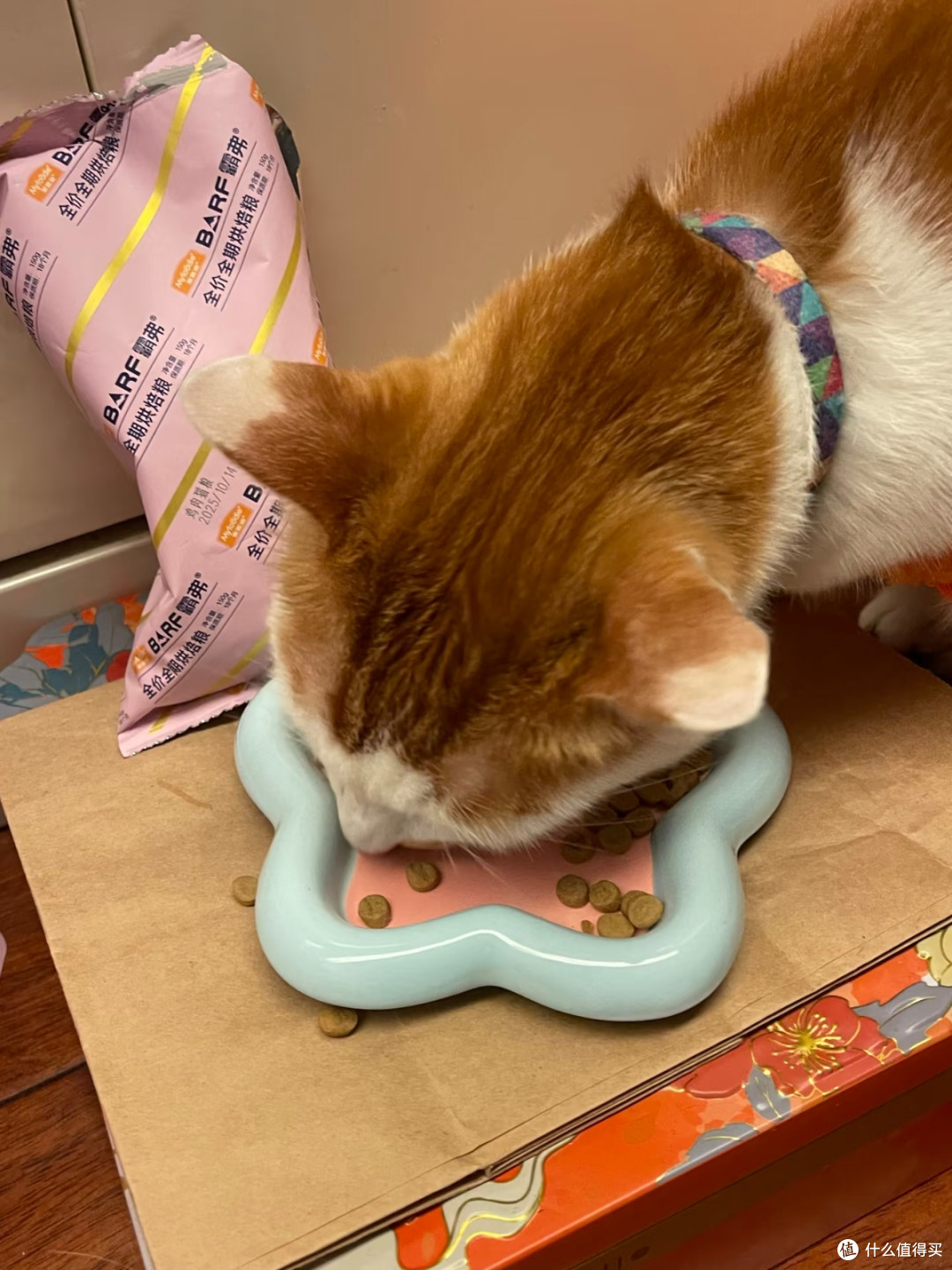 霸弗烘焙猫粮|挑食怪终于实现顿顿光盘!