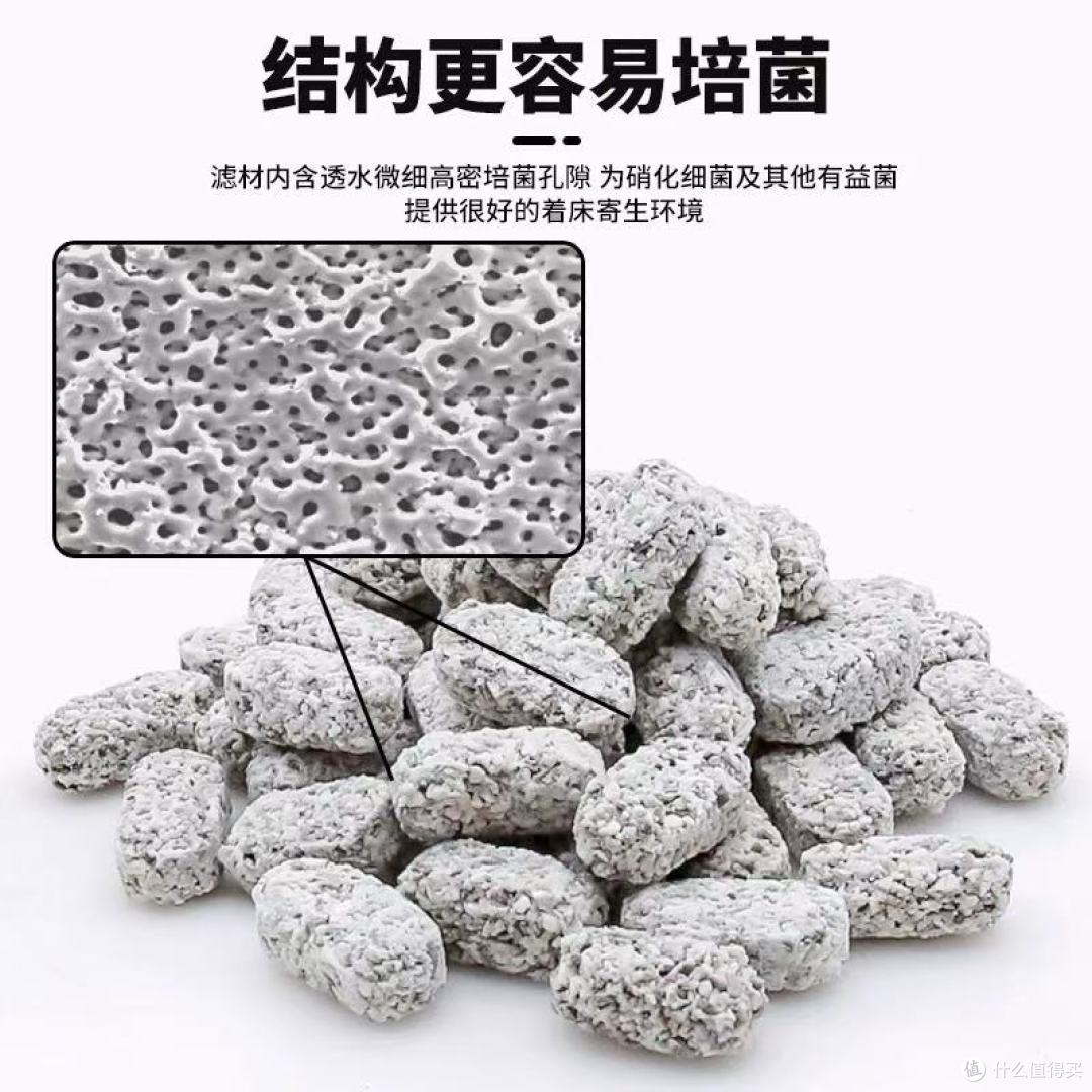 新手养鱼必看👀！水清鱼靓的秘密武器，后悔没早买！