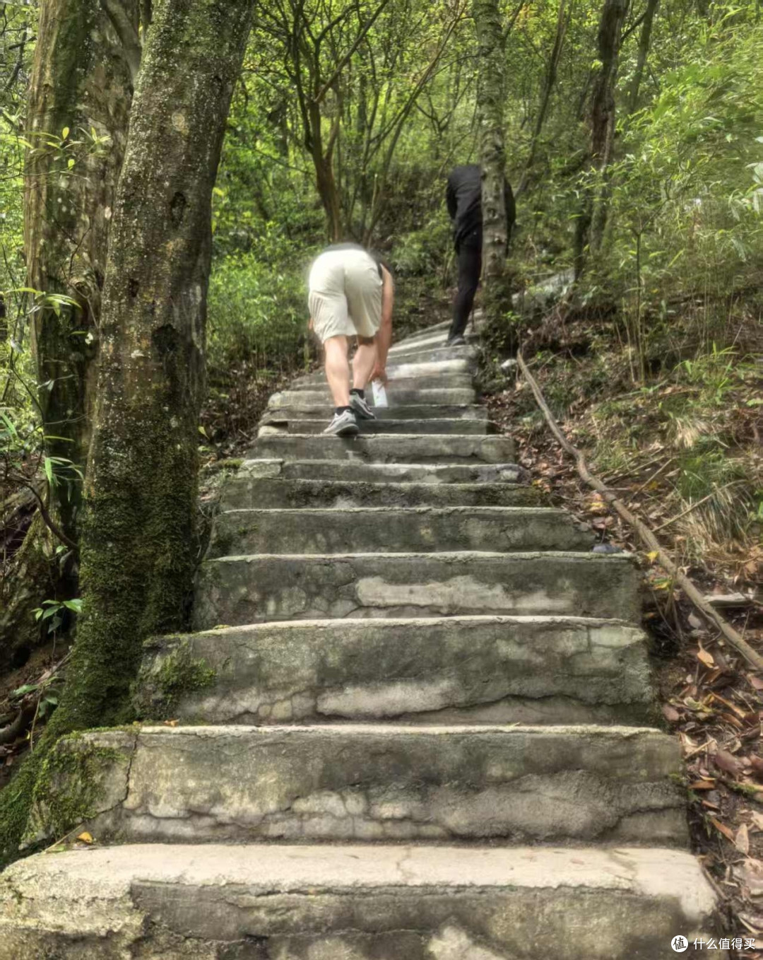 硬核实测-迈乐迈行登山鞋和迪卡侬髌骨带助我拿牌到腿软!