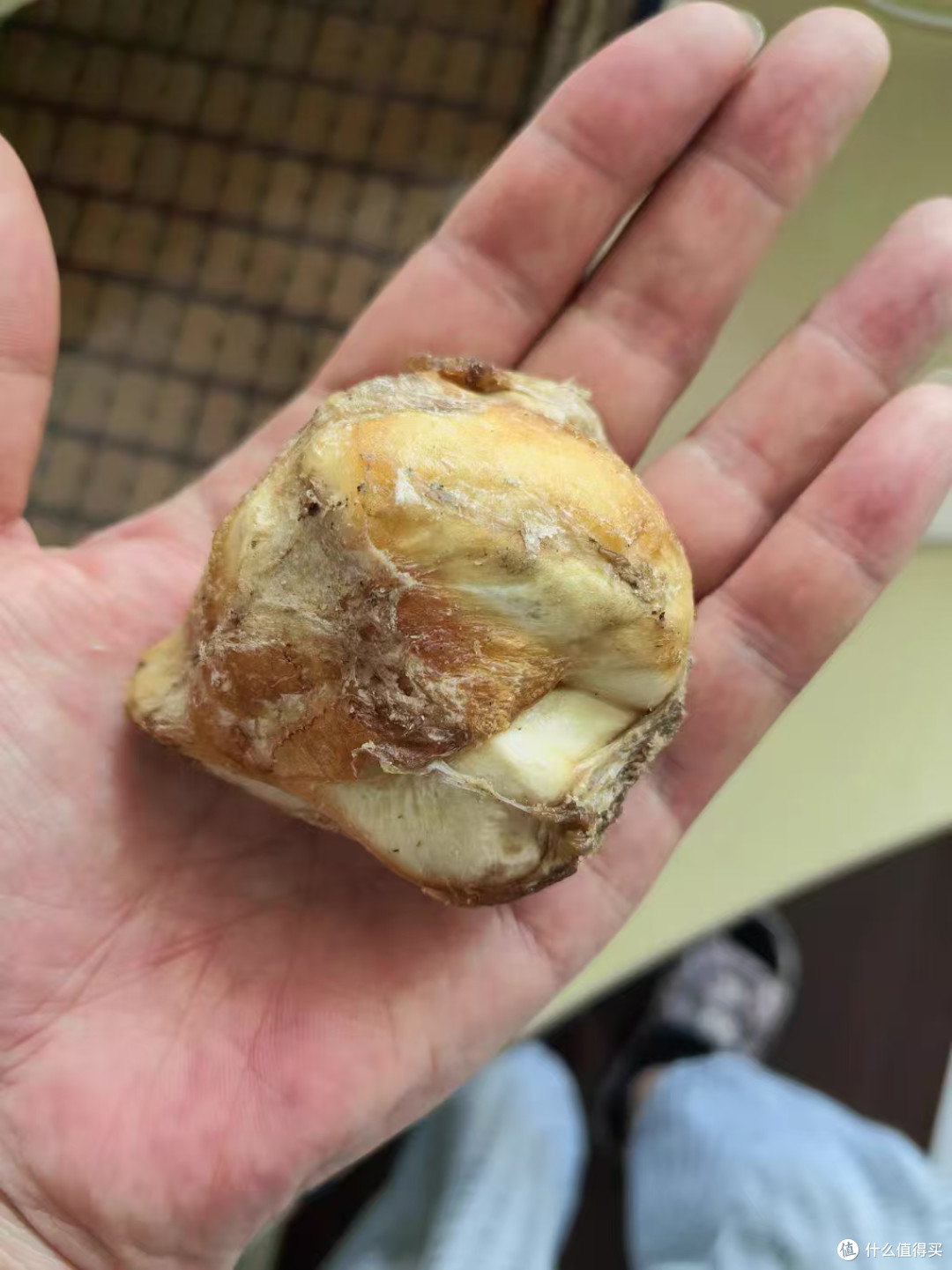 防拆家洁牙神器✨摩啃牛膝盖骨｜耐咬解馋双在线🦴