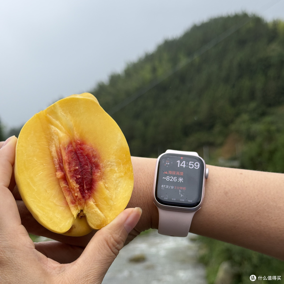GI水果vs普通水果:5维度实测避坑