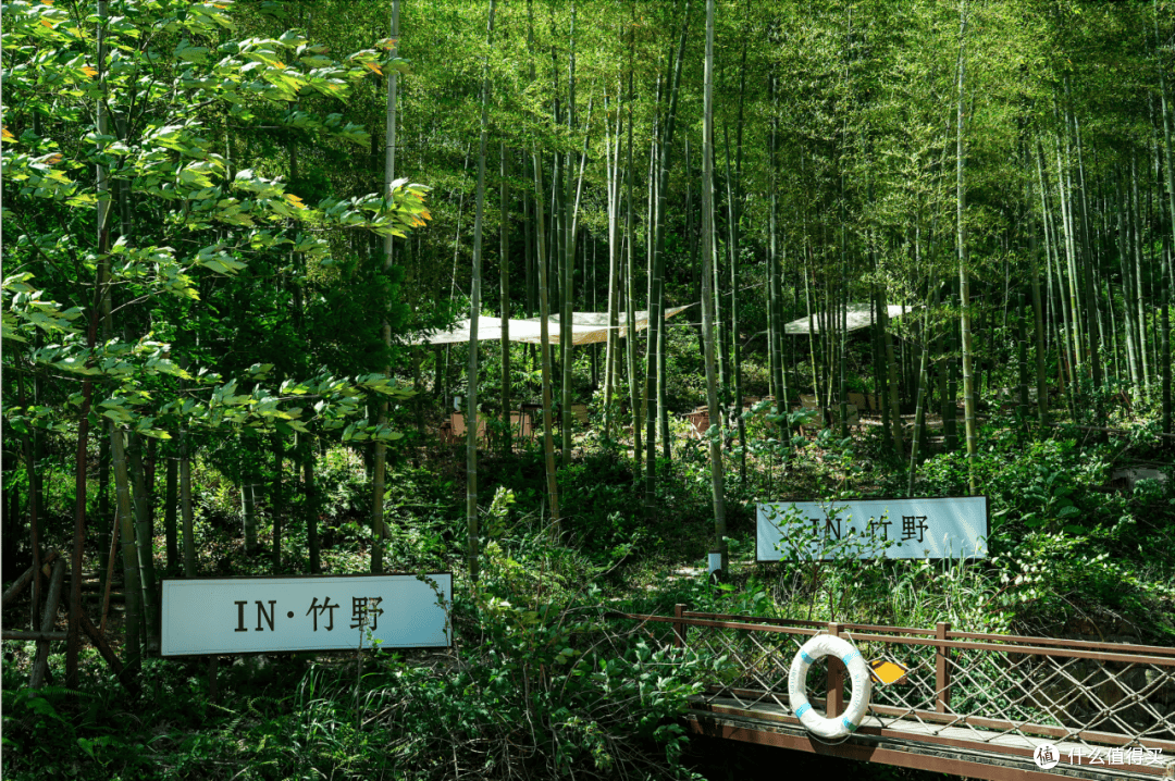 端午去爬山避暑:这6座山均温不到25℃,晚上还要盖棉被!