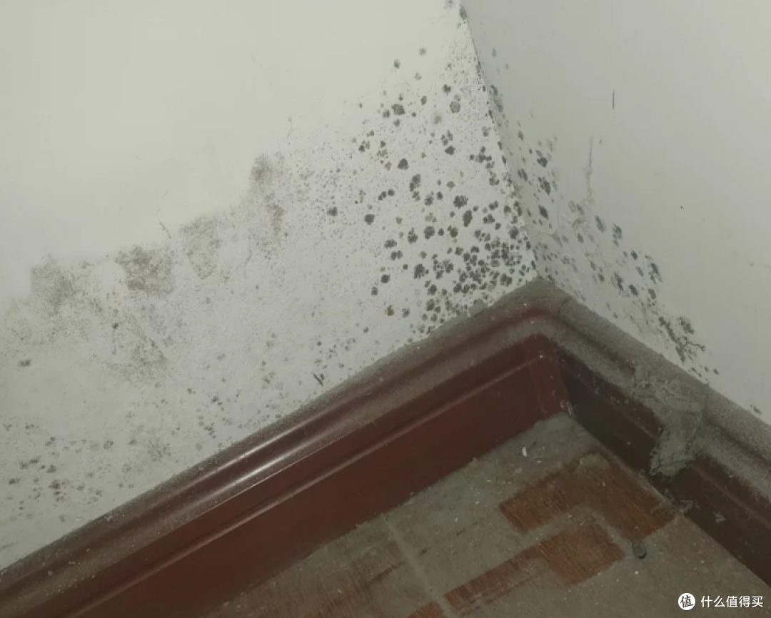 家里4个地方是霉菌重灾区,很多人天天接触却浑然不觉!