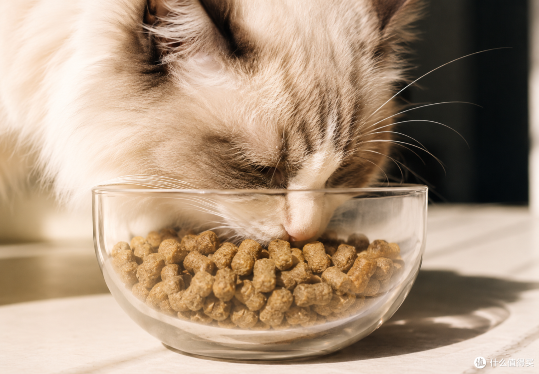 猫狗粮里的天然维E到底有没有用?宠立方这套自研体系值不值得看