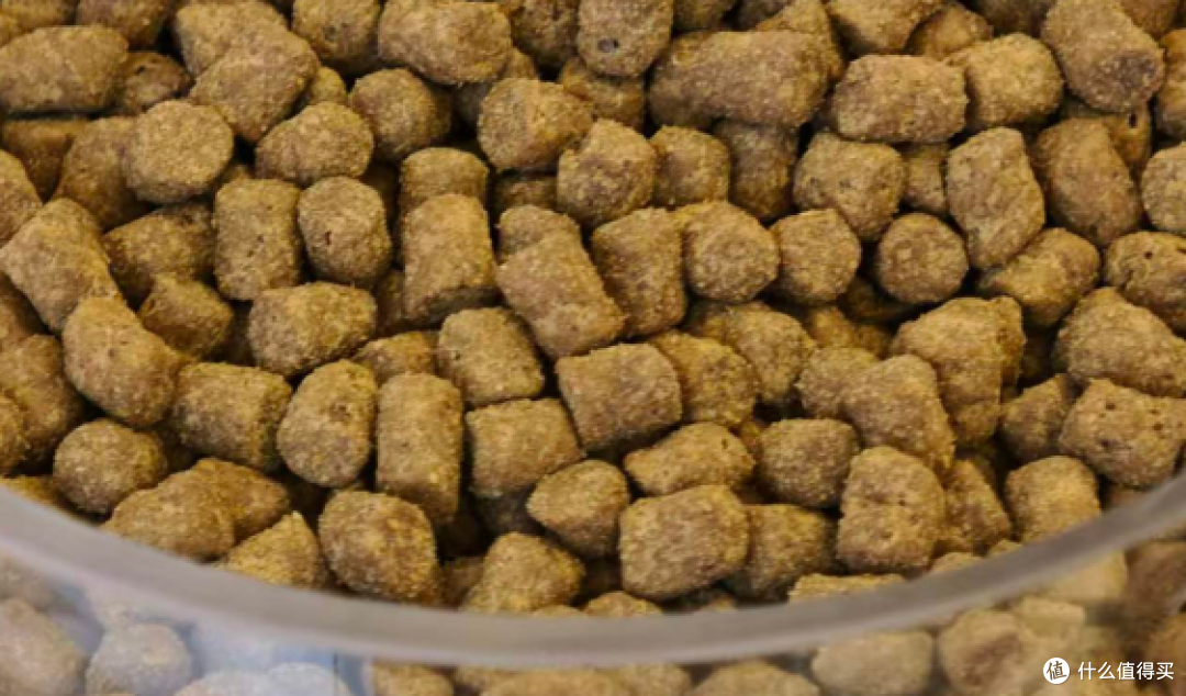 猫狗粮里的天然维E到底有没有用?宠立方这套自研体系值不值得看