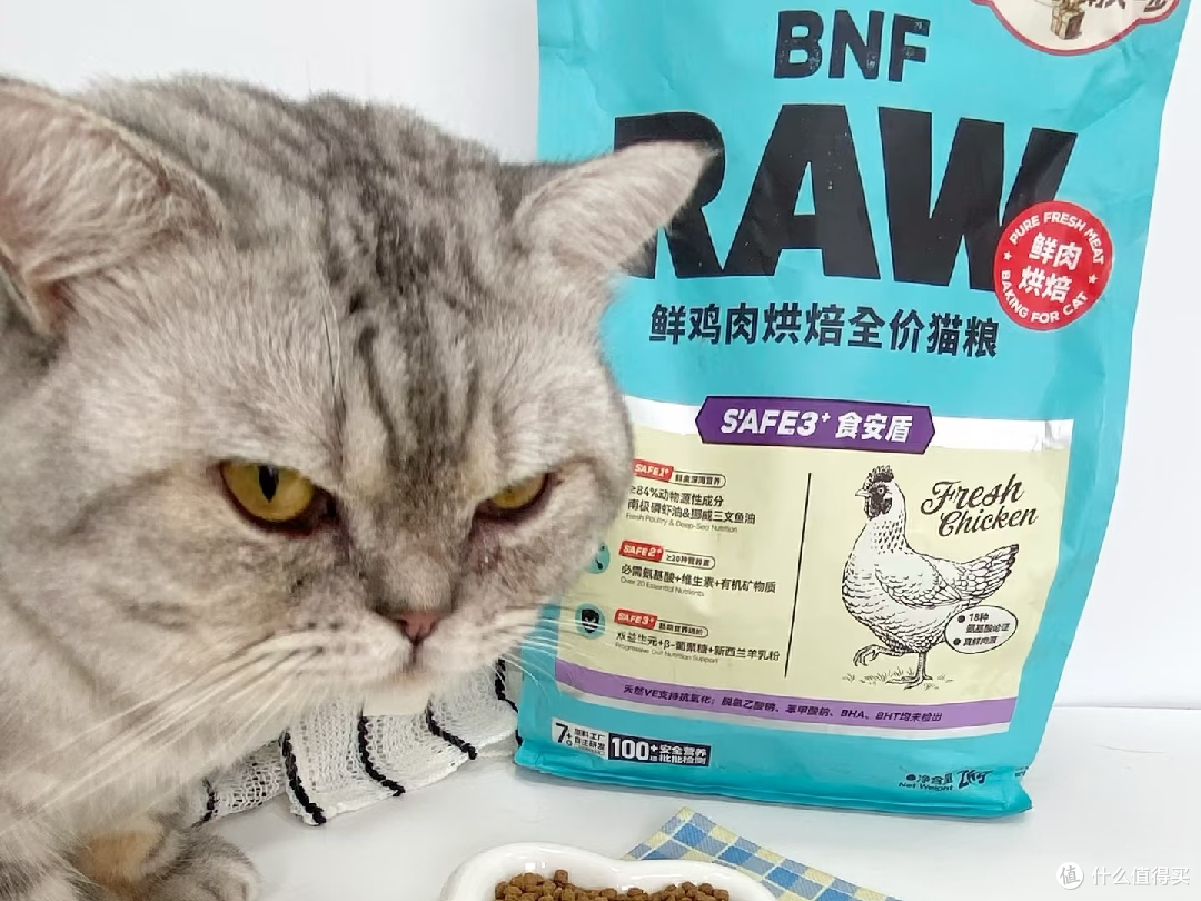 肠胃敏感猫的主粮推荐