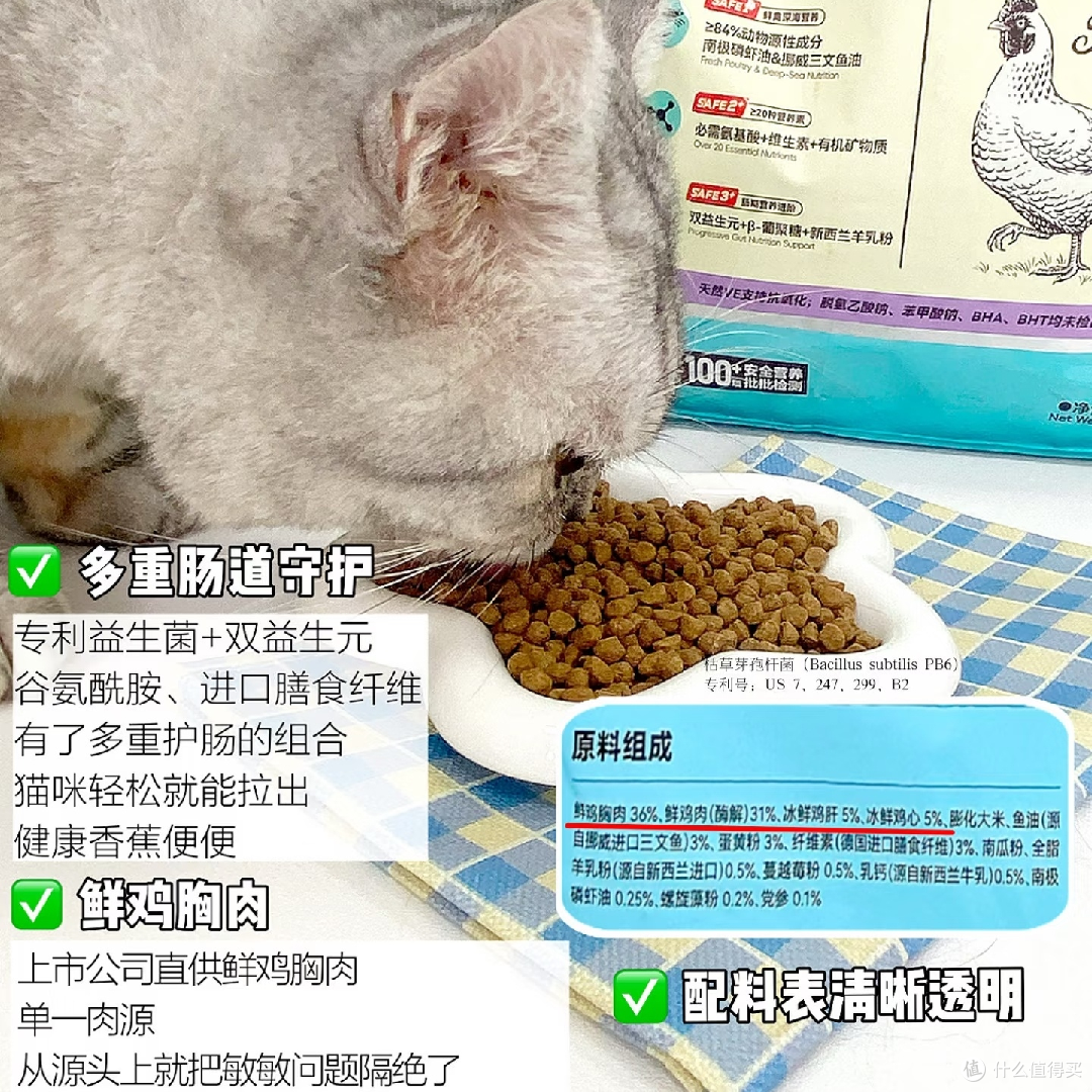 肠胃敏感猫的主粮推荐