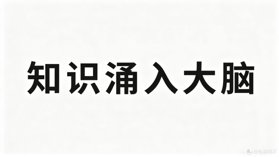 2026年小蜜蜂扩音器锐评推荐:小蜜蜂选哪个?什么牌子好用?